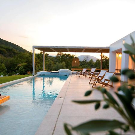 Aristotelia Gi - Premium Luxury Villas With Private Pools Olympiada Dış mekan fotoğraf