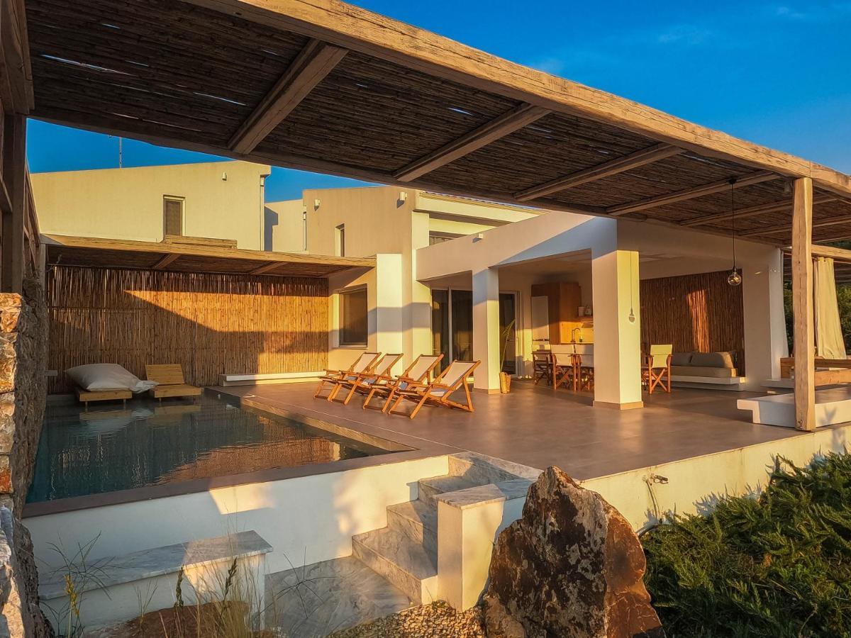 Aristotelia Gi - Premium Luxury Villas With Private Pools Olympiada Dış mekan fotoğraf