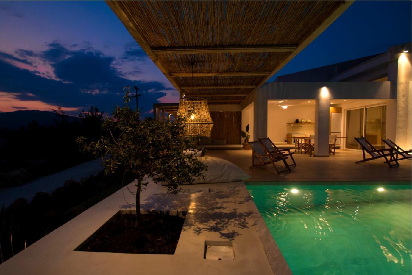 Aristotelia Gi - Premium Luxury Villas With Private Pools Olympiada Dış mekan fotoğraf
